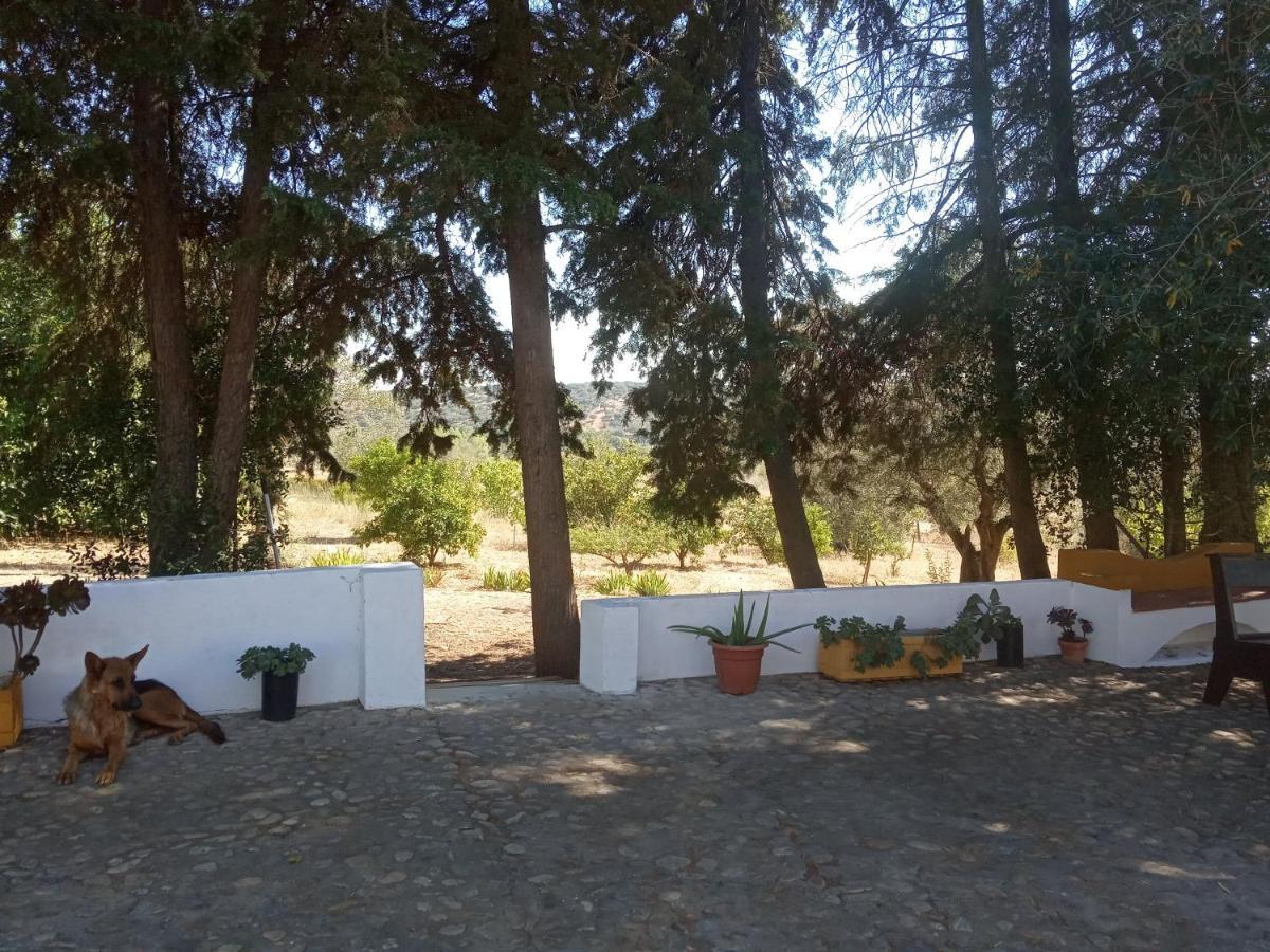 Monte Da Samarra Villa Avissawella Exterior photo