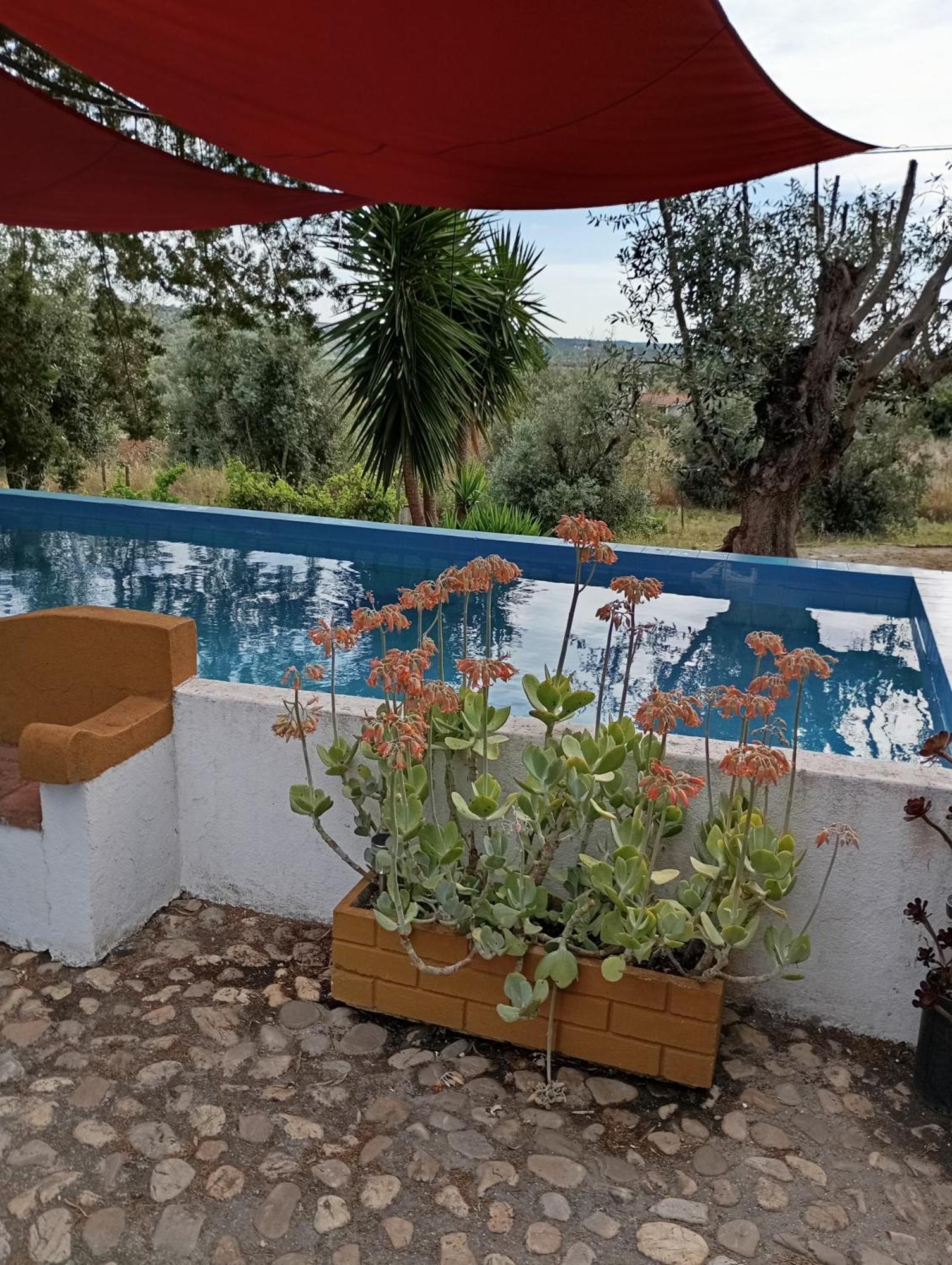 Monte Da Samarra Villa Avissawella Exterior photo