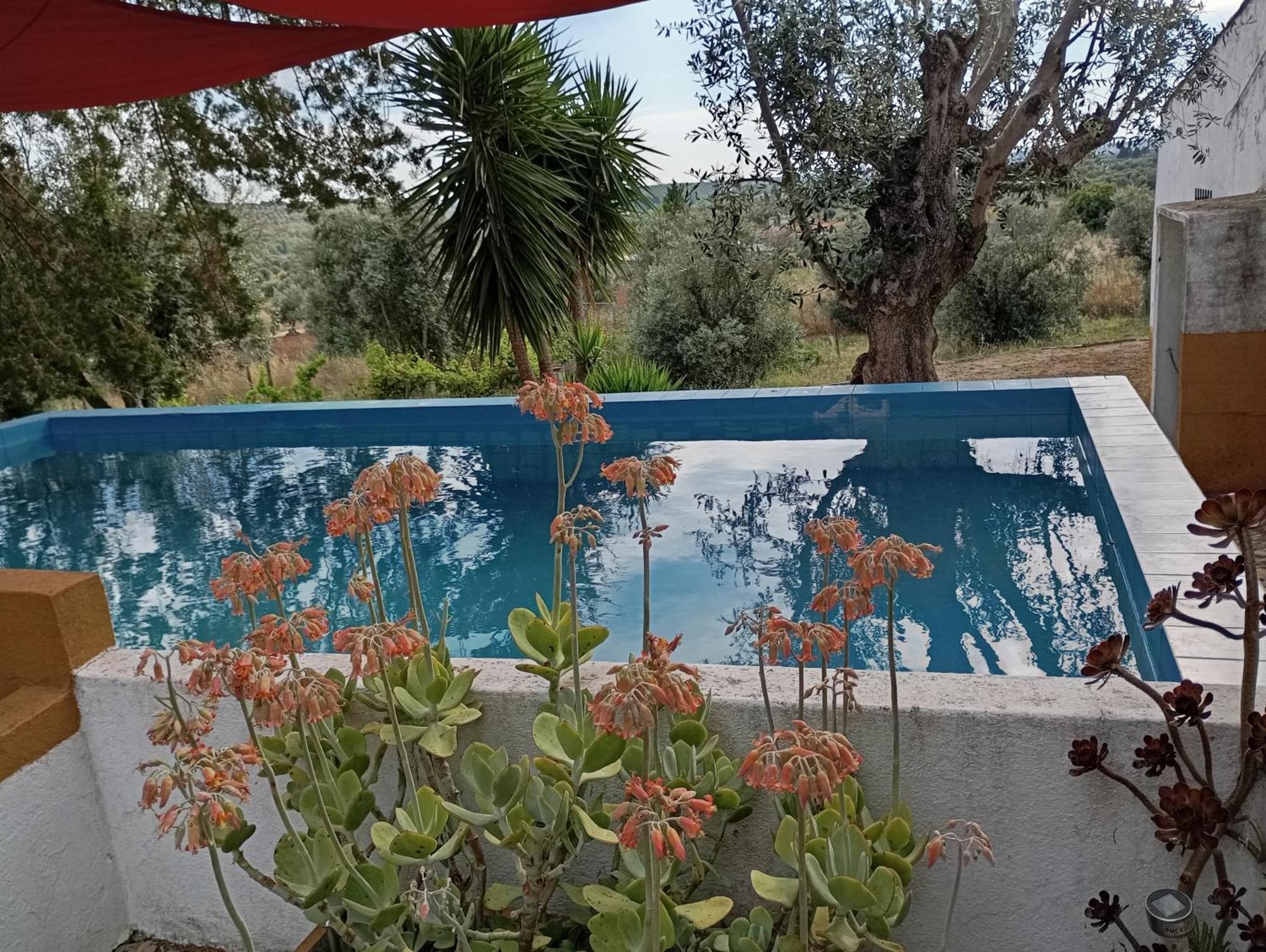 Monte Da Samarra Villa Avissawella Exterior photo